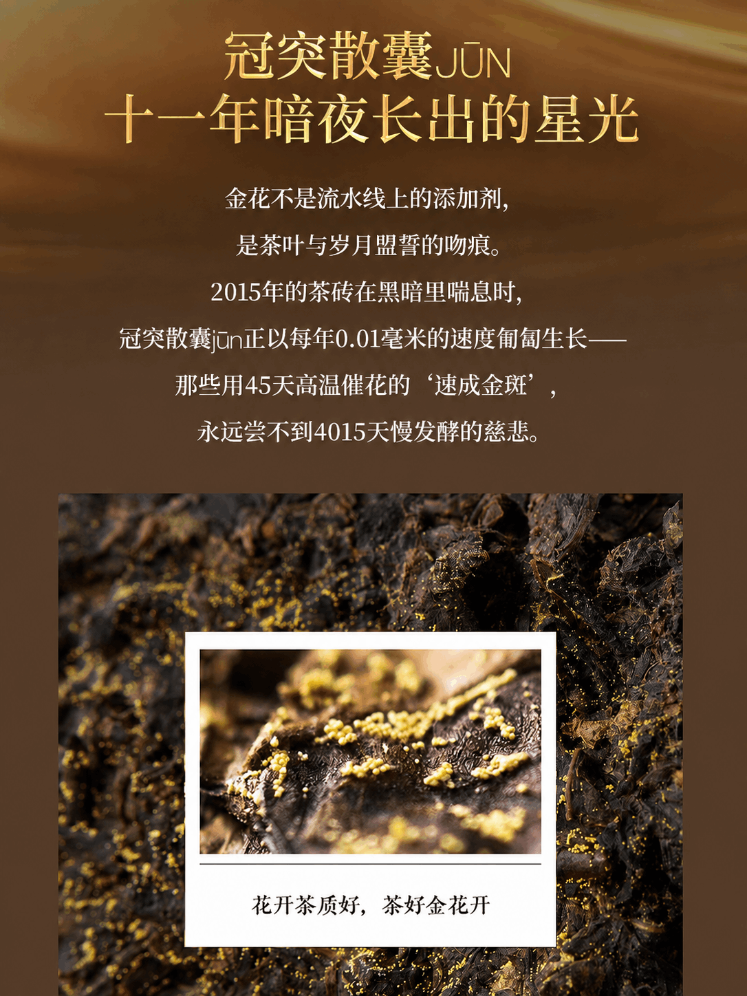 黑茶 详情图 6