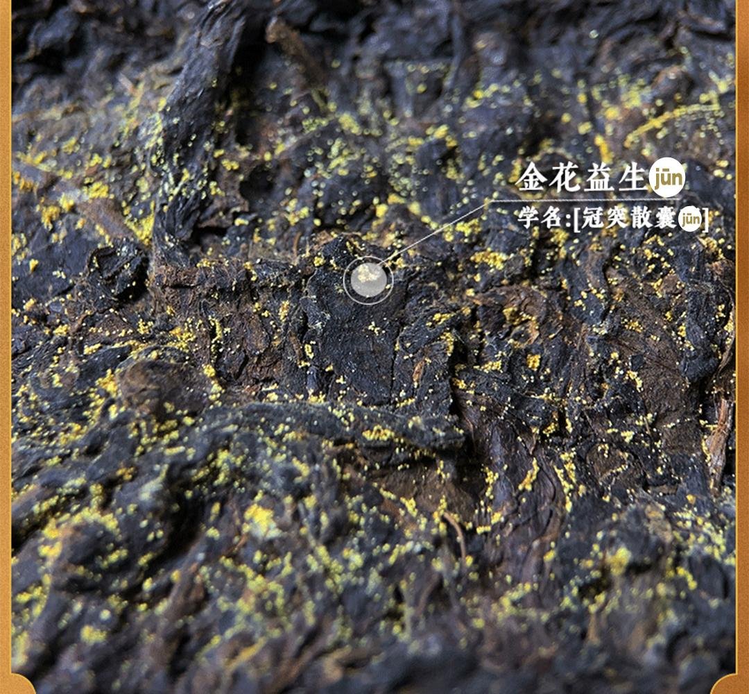 黑茶 详情图 10
