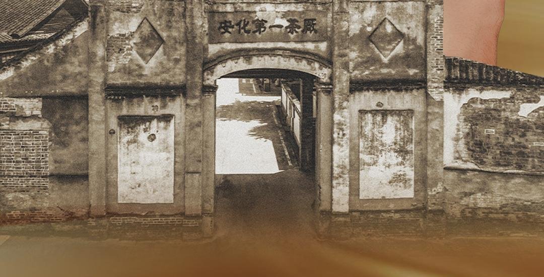 黑茶 详情图 4