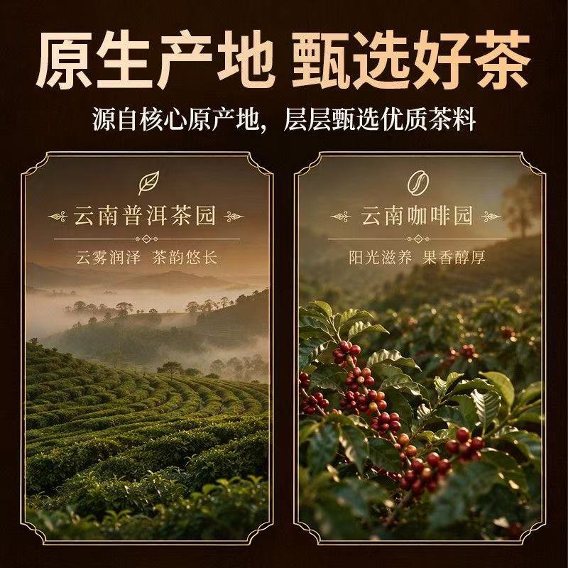 咖啡熟普 详情图 5